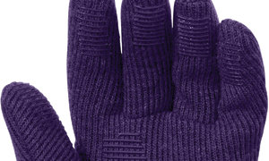 Outdoor Research Flurry Gloves